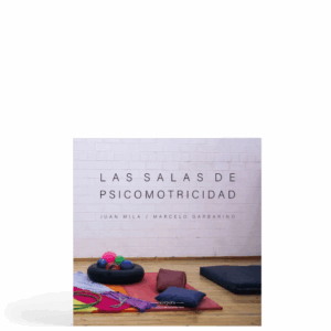 Las salas de psicomotricidad